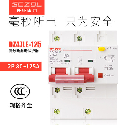DZ47LE-125 2P漏电保护断路器 D型大功率漏电开关 大电流塑壳式