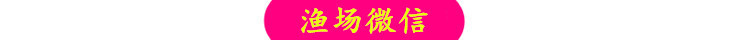 微4111_副本_副本