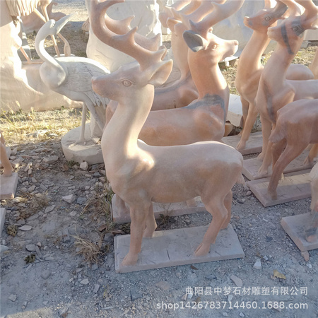 IMG20181007155024
