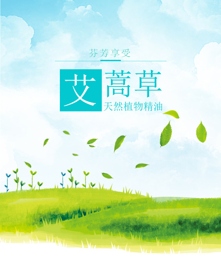 艾蒿草1