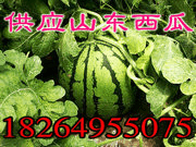 a316202c19e24ada482ae43ddf7db8