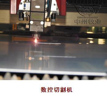 蛋鸡笼/鸡笼/鸡笼厂/养鸡设备