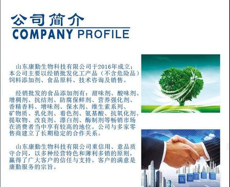 公司介绍