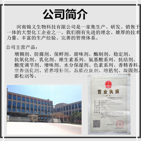 .公司简介_副本