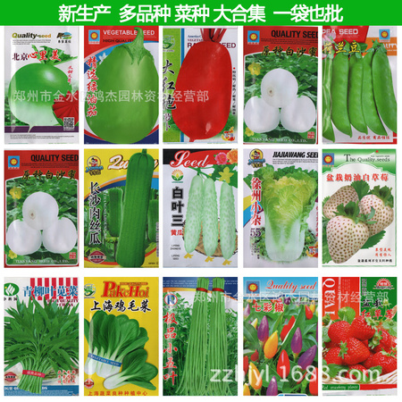 菜种批发800
