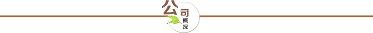 公司简介