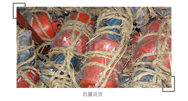 塔机电力液压抱闸制动器详情_05