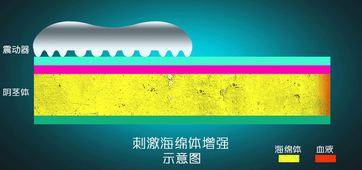 2代训练器描述1_11