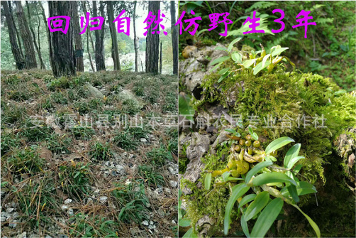 未标题-4.jpg