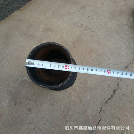 照片 381.jpg