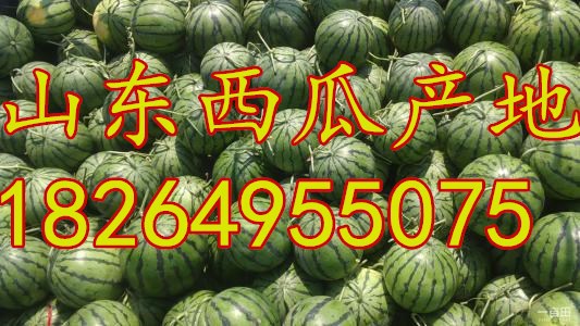 u=3201185097,1125032478&ampfm