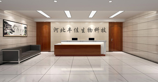 河北公司前台