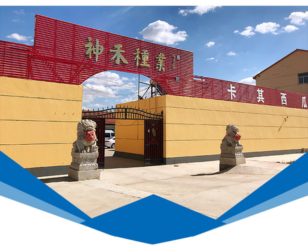 河北神禾种业有限公司详情页_16
