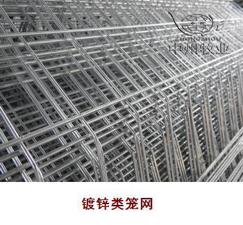 蛋鸡笼/鸡笼/鸡笼厂/养鸡设备