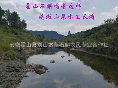 微信图片_20180917131131.jpg