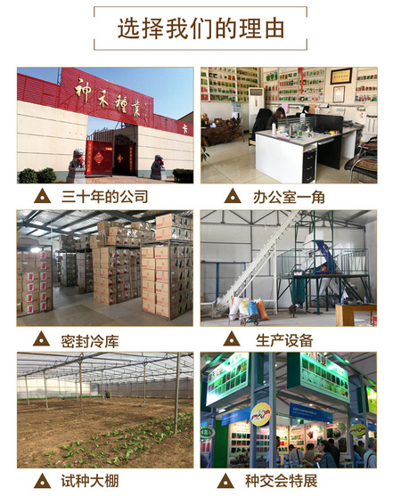 详情6