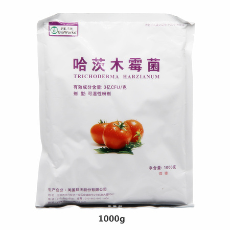 1000_副本