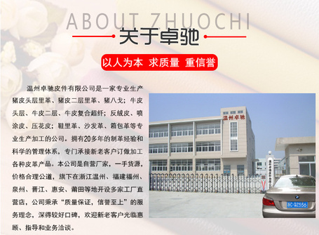 0-2关于卓驰.jpg