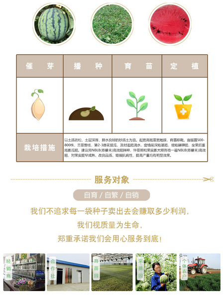 详情页3.jpg