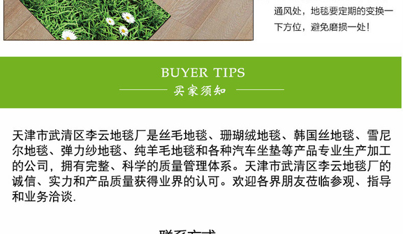 新品跨境印花ins防滑客厅床边地垫厨房地毯定制套装橱柜定制门垫