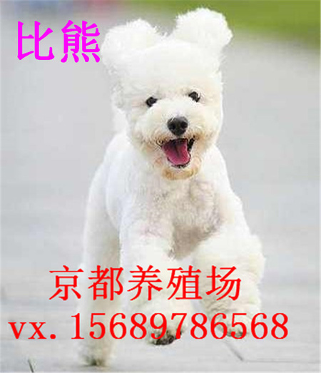 timg (12)
