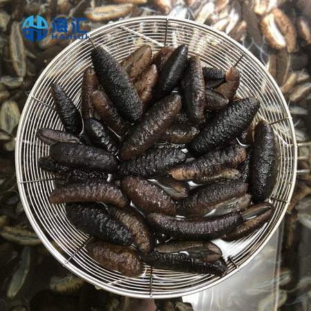 即食土耳其海参