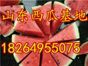 u=1139322302,642696501&ampfm=