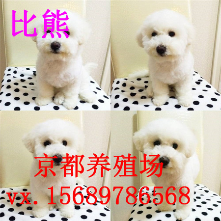timg (11)