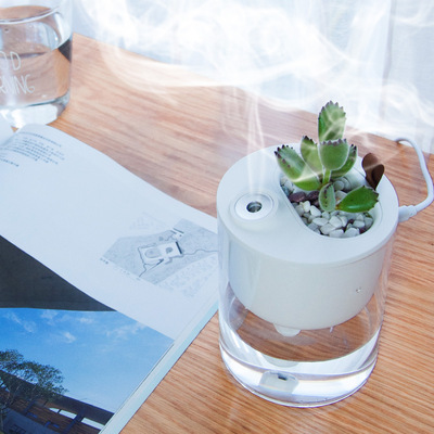 创意小生态加湿器迷你卧室桌面盆栽加湿器usb小型加湿器