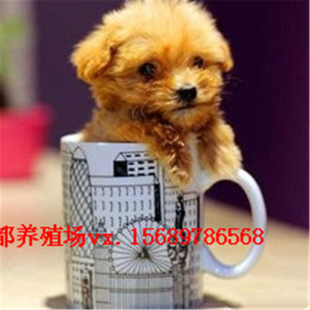 757c286b02d2ed6e