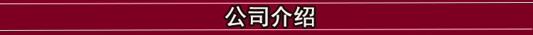 公司介绍