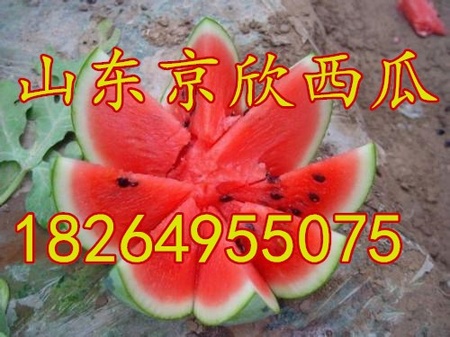 u=1956065709,1635305253&ampfm