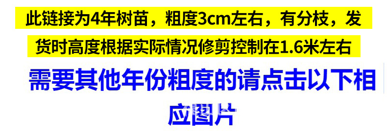 阿里4年.jpg