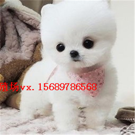 e60ed6f524f9e78d