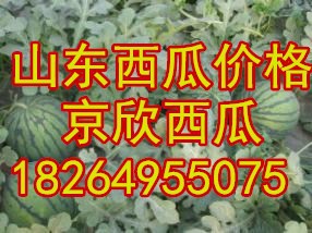 u=609897435,2091330568&ampfm=
