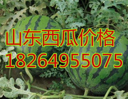1368064184_副本