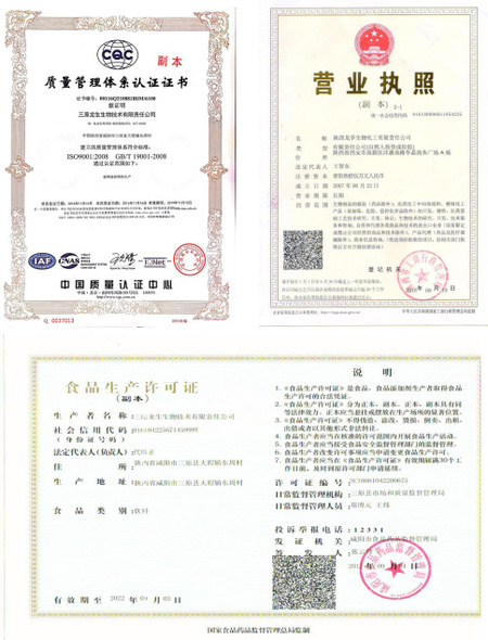 资质证书 (2)