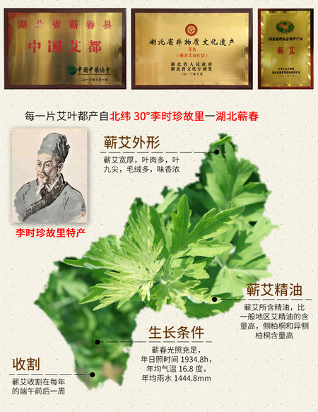 石臼蕲艾条详情_04.jpg