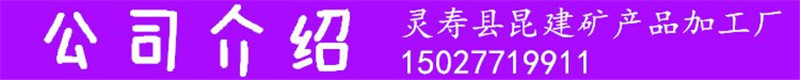 1公司介绍