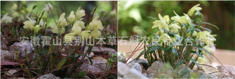 未标题-20.jpg