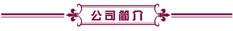 公司介绍