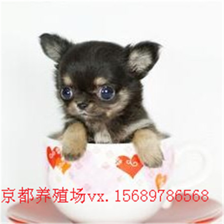 01300000802987127669476950381_