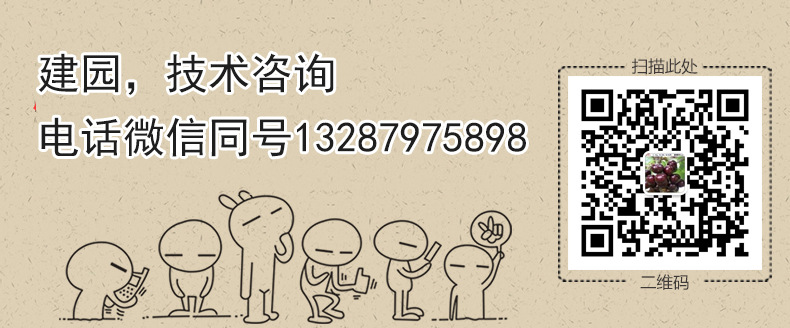 8899529227_1085334951