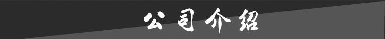 公司介绍