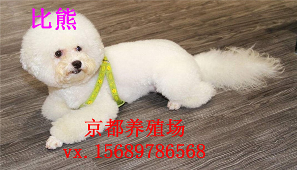timg (2)