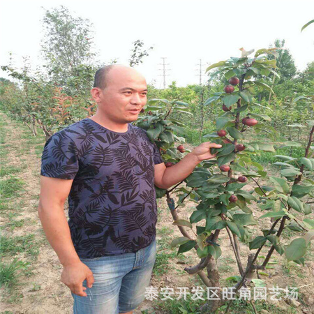 微信图片_20170618120146