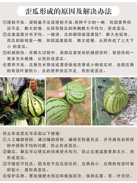 详情页5