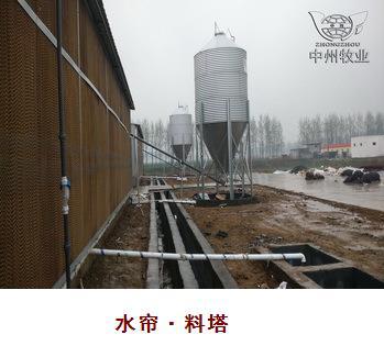 蛋鸡笼/鸡笼/鸡笼厂/养鸡设备