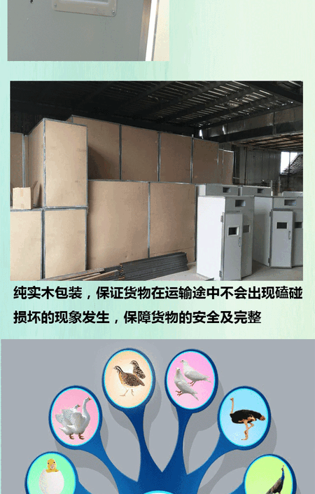 详情页鸽子式_06