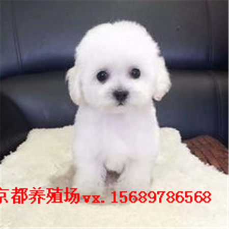 4fb9fcae1b9b4217